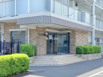 �G���g�����X�@-