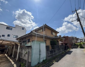 ���n�y�n�ʐ^�@-